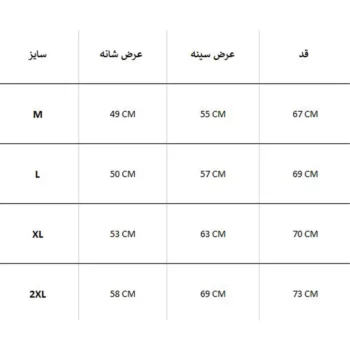 پیراهن زمستانه JACHS NY - Image 4