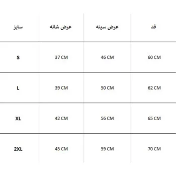 هودی زنانه REEBOK - Image 4