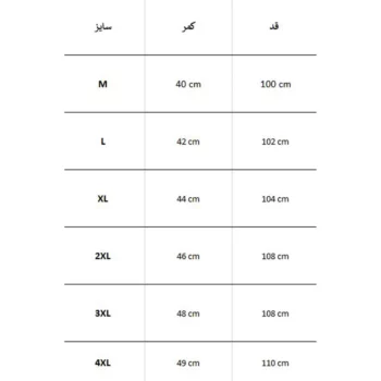 شلوار ترکينگ مردانه چهار فصل SNOW HAWK 1003M - Image 4